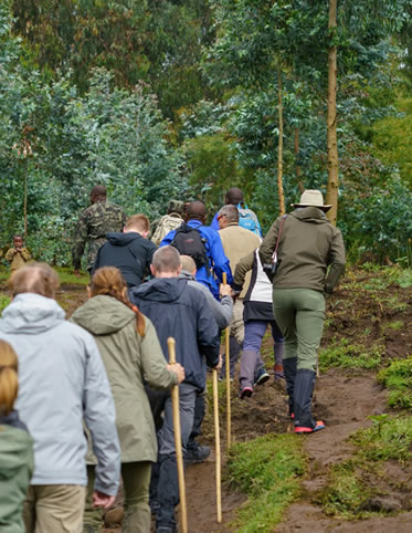 gorilla trekking clothing in Bwindi forest