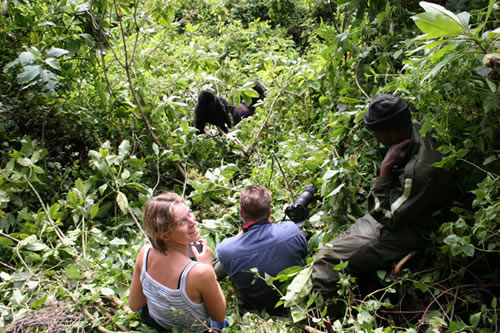 gorilla trekking in Bwindi forest